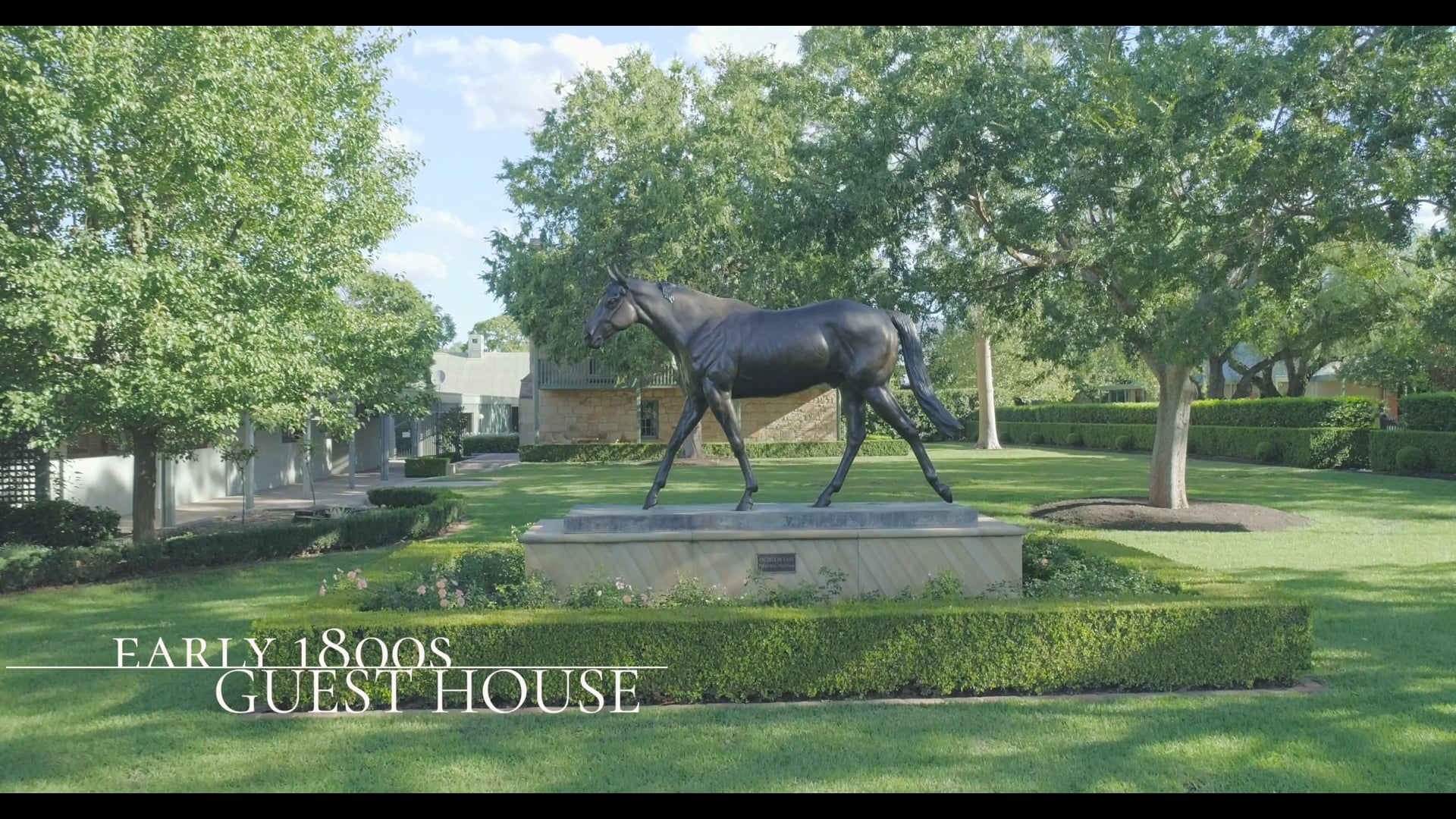 Coolmore Australia Coolmore TV