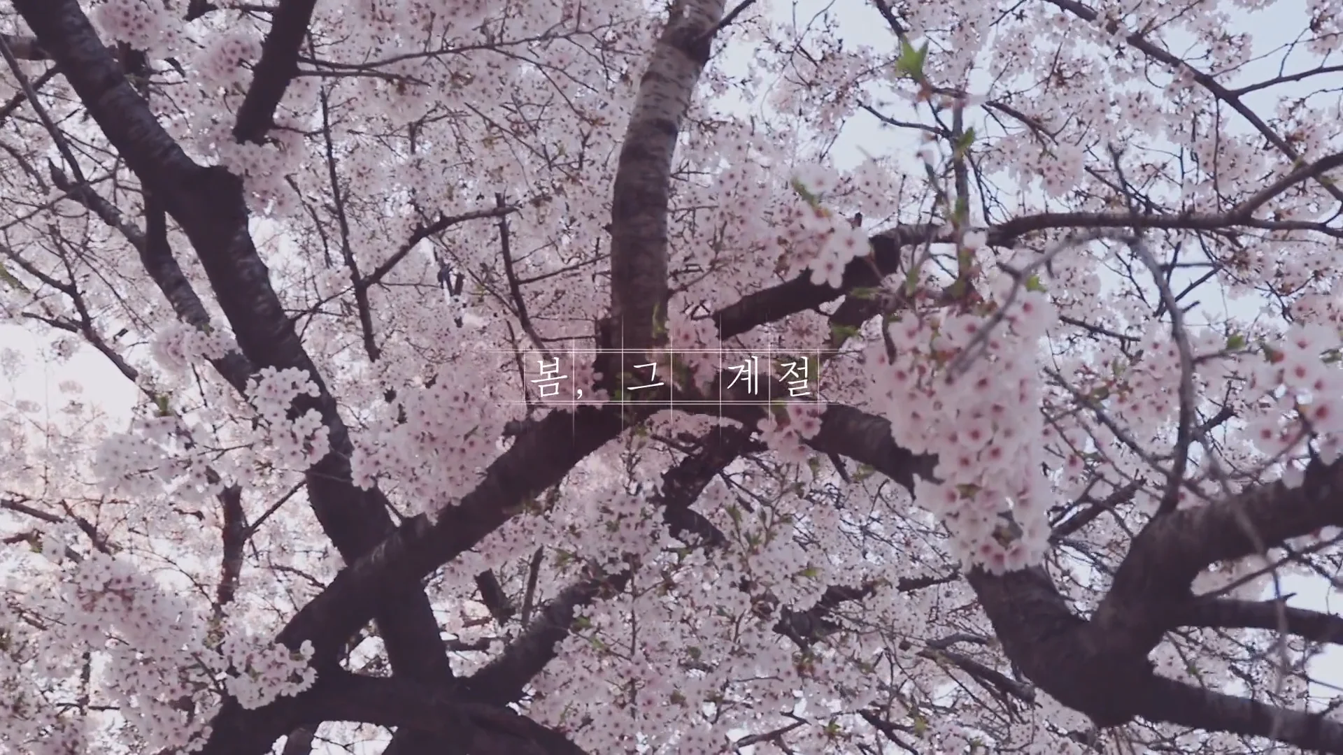 Spring on Vimeo
