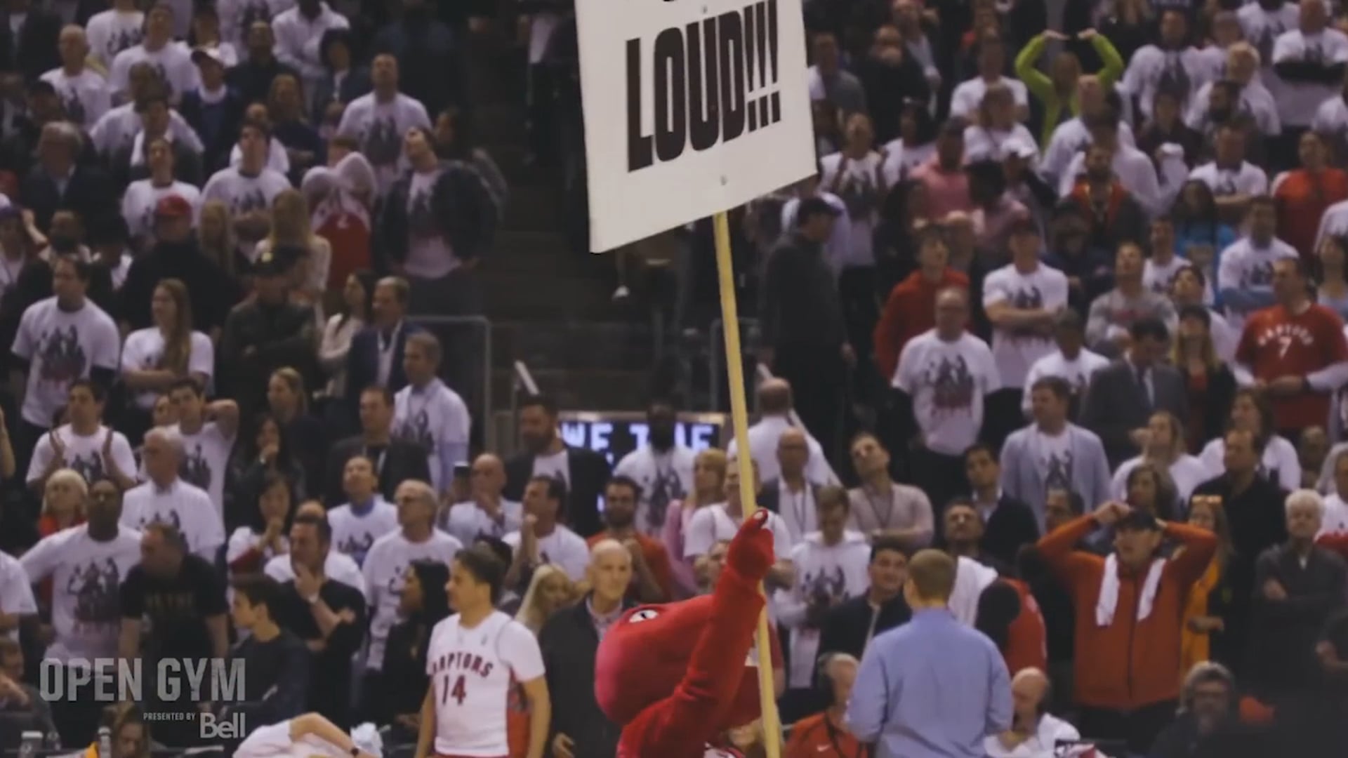 NBA CHAMPIONS - TORONTO RAPTORS - NBA PLAYOFFS 18/19