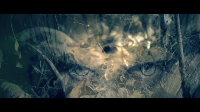 Ghost Animal - Through Your Eyes thumbnail