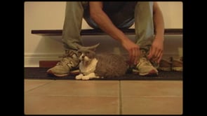 Meow Meow