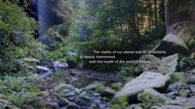 Image of a stream within a forest. Text appears toward the right.