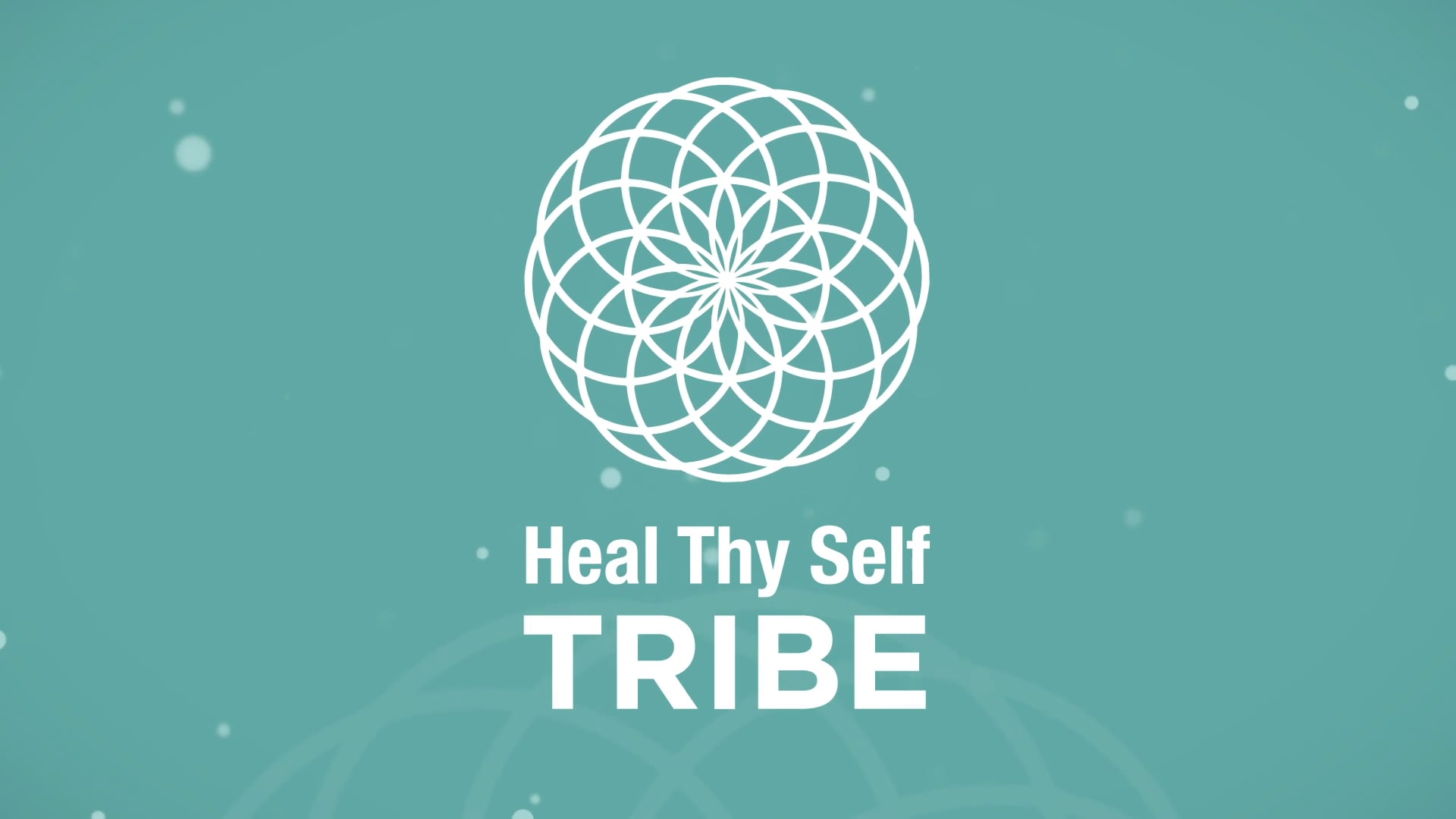 Tribe Sales Video