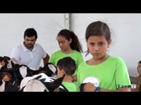 Terneras de 3 a 6 meses