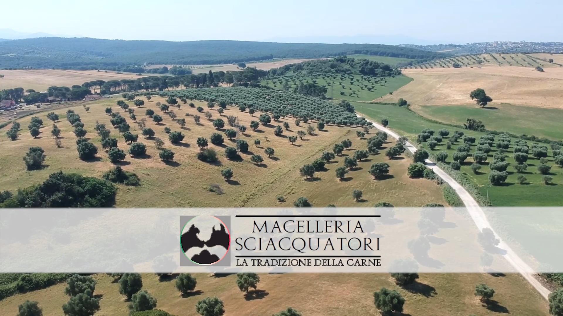 MACELLERIA SCIACQUATORI