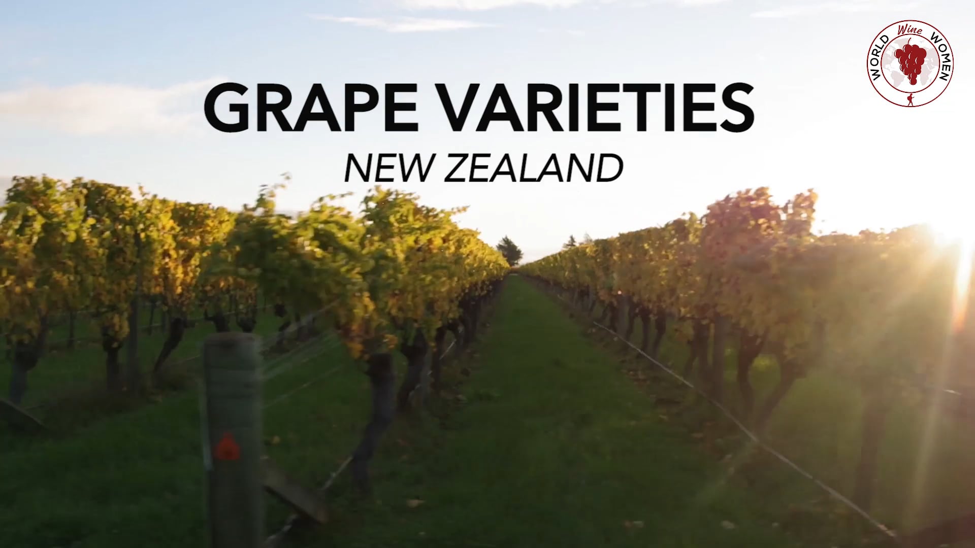 Grape varieties - New Zealand