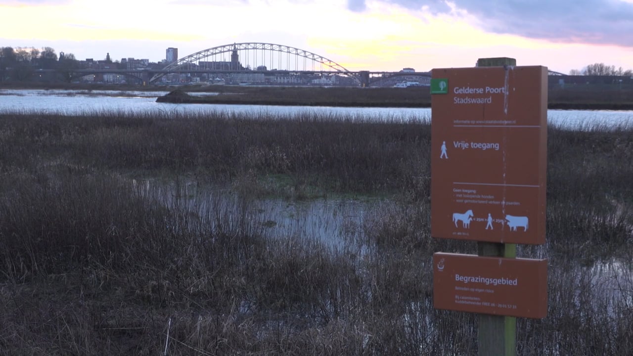 CGTN - The Netherlands - March 2018