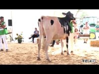 Novilla gran campeona