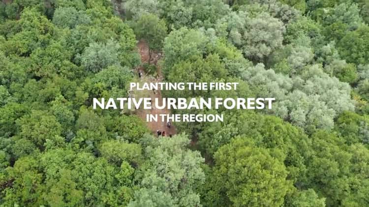 tOD: Native Urban Forests in Beirut