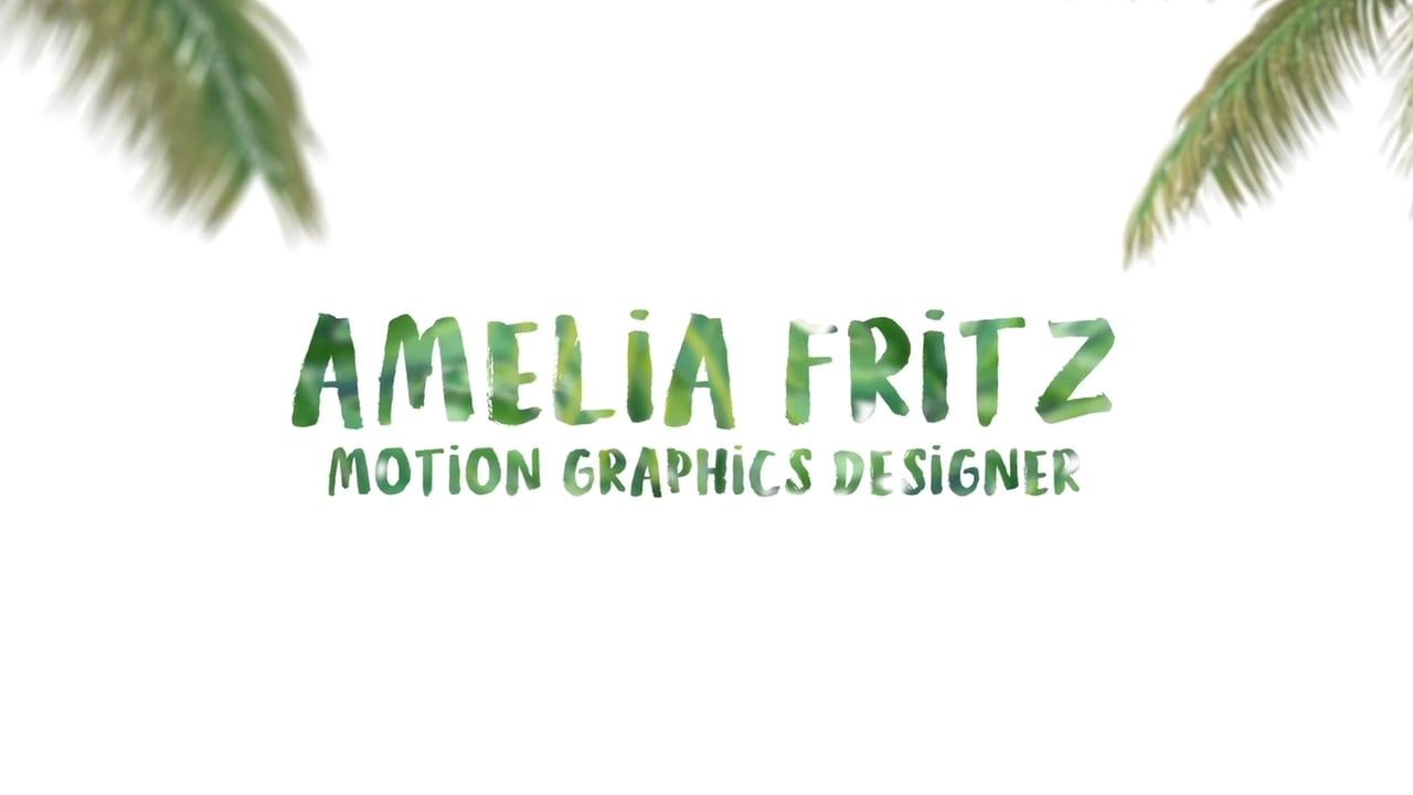 Amelia Fritz - Motion Graphics Demo Reel 2019