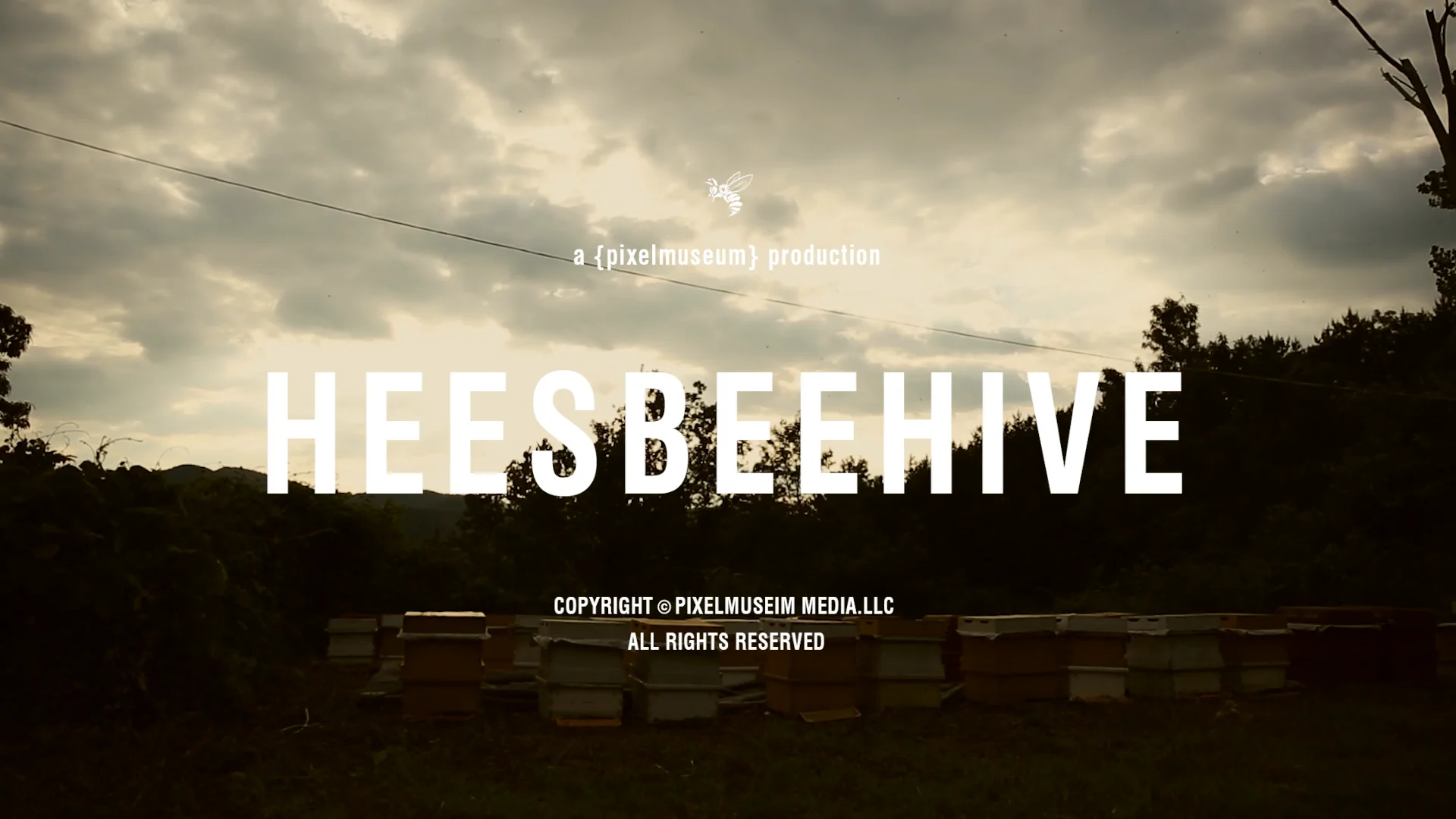 Hee`s Bee Hive on Vimeo