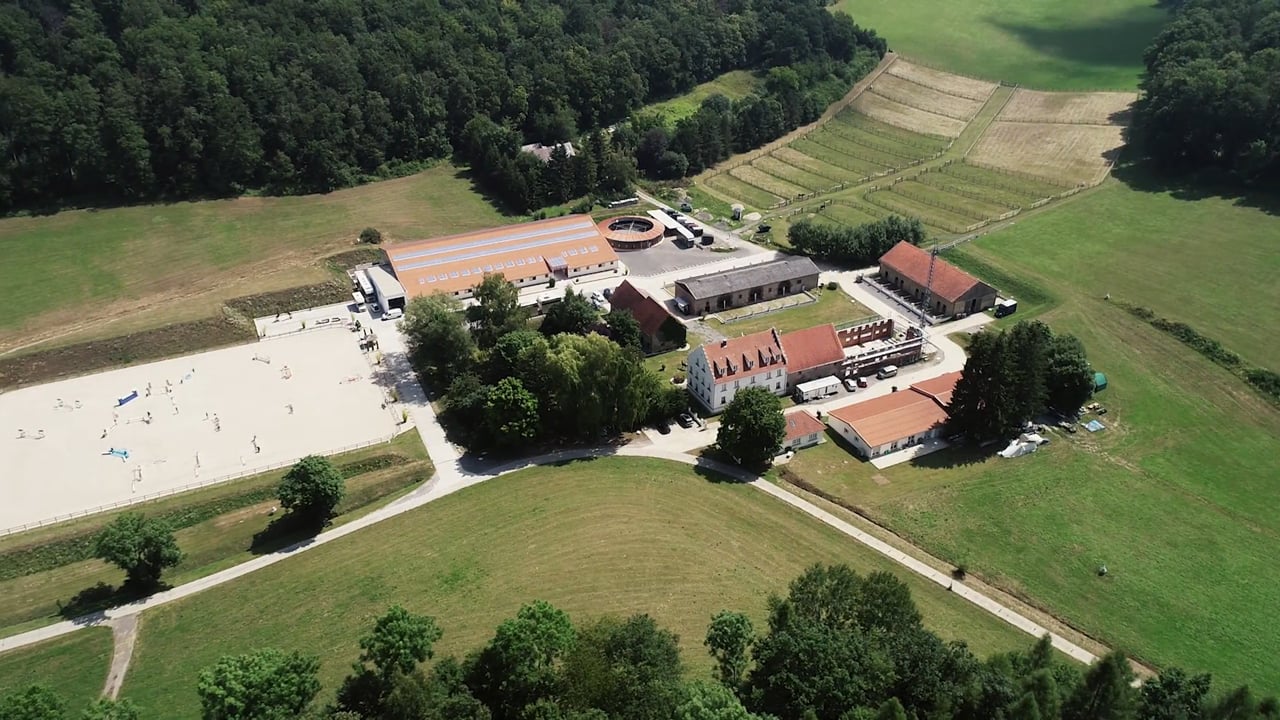 Deuerer Horses & Stable - www.deuerer-horses.com