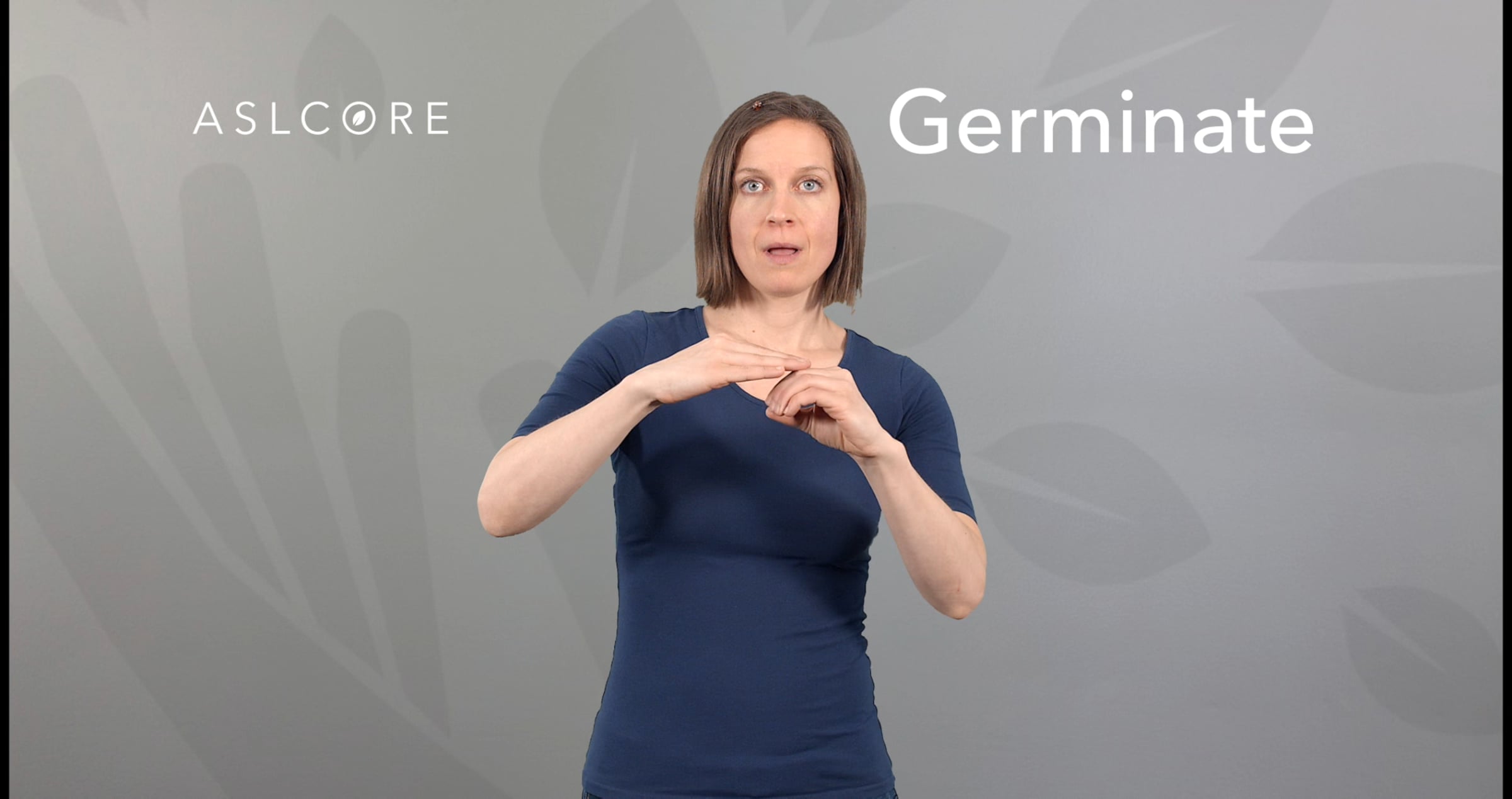 Germinate Sign | Videos & Movies on Vimeo