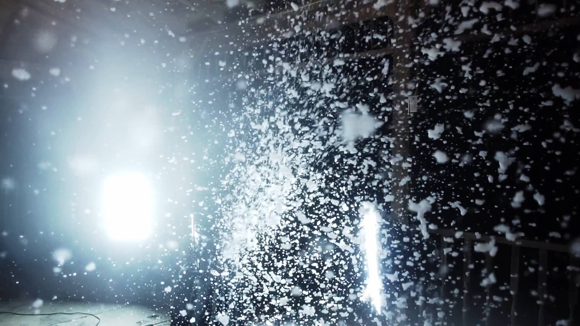 Professional Snow Machine Froggy