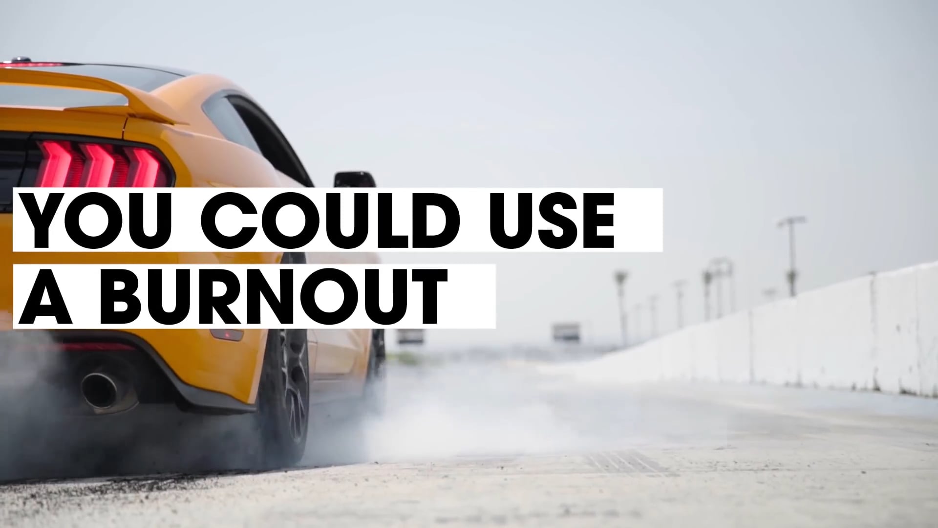 Ford Mustang You Could Use A Burnout