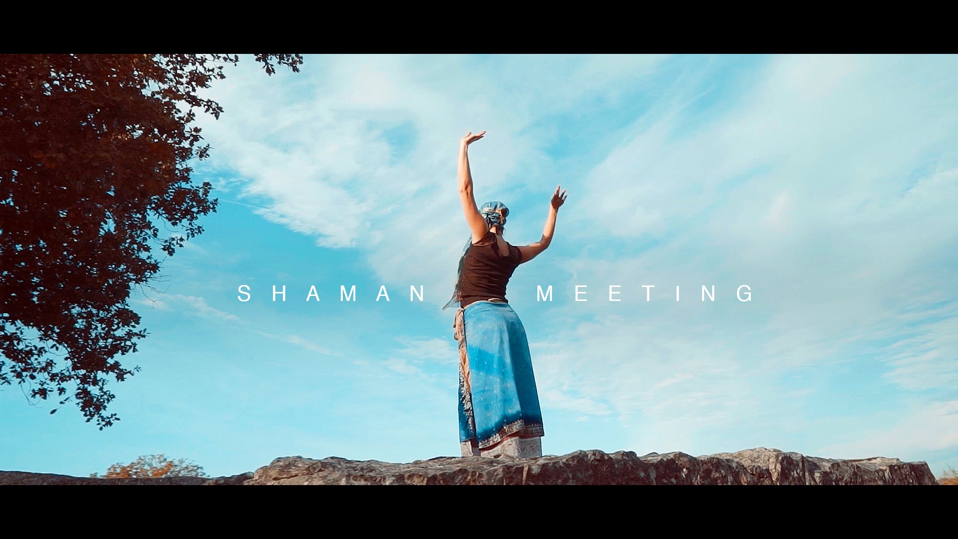 SHAMAN MEETING - Paul Saint Mesmin