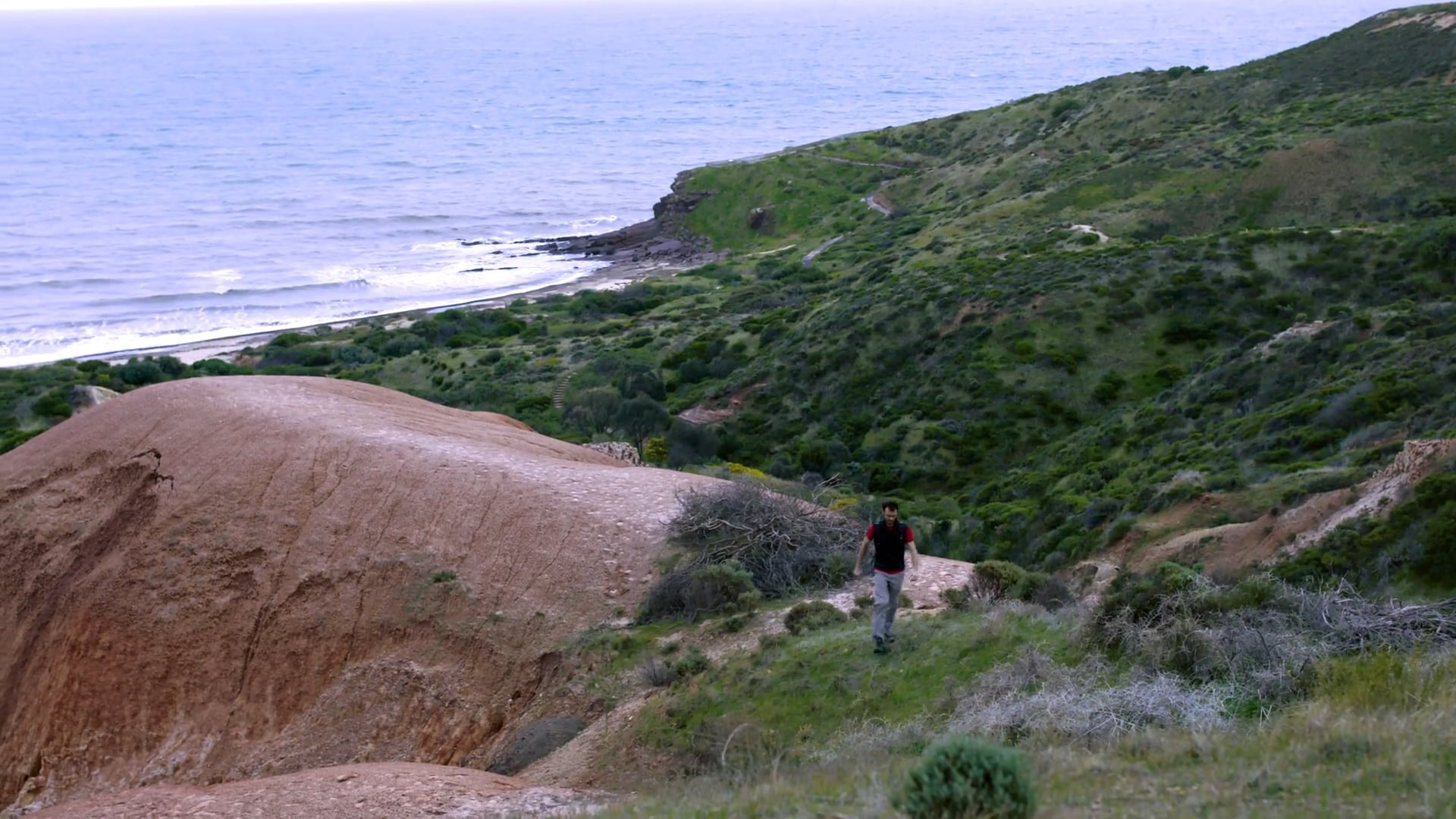 Google Partners - Snowys