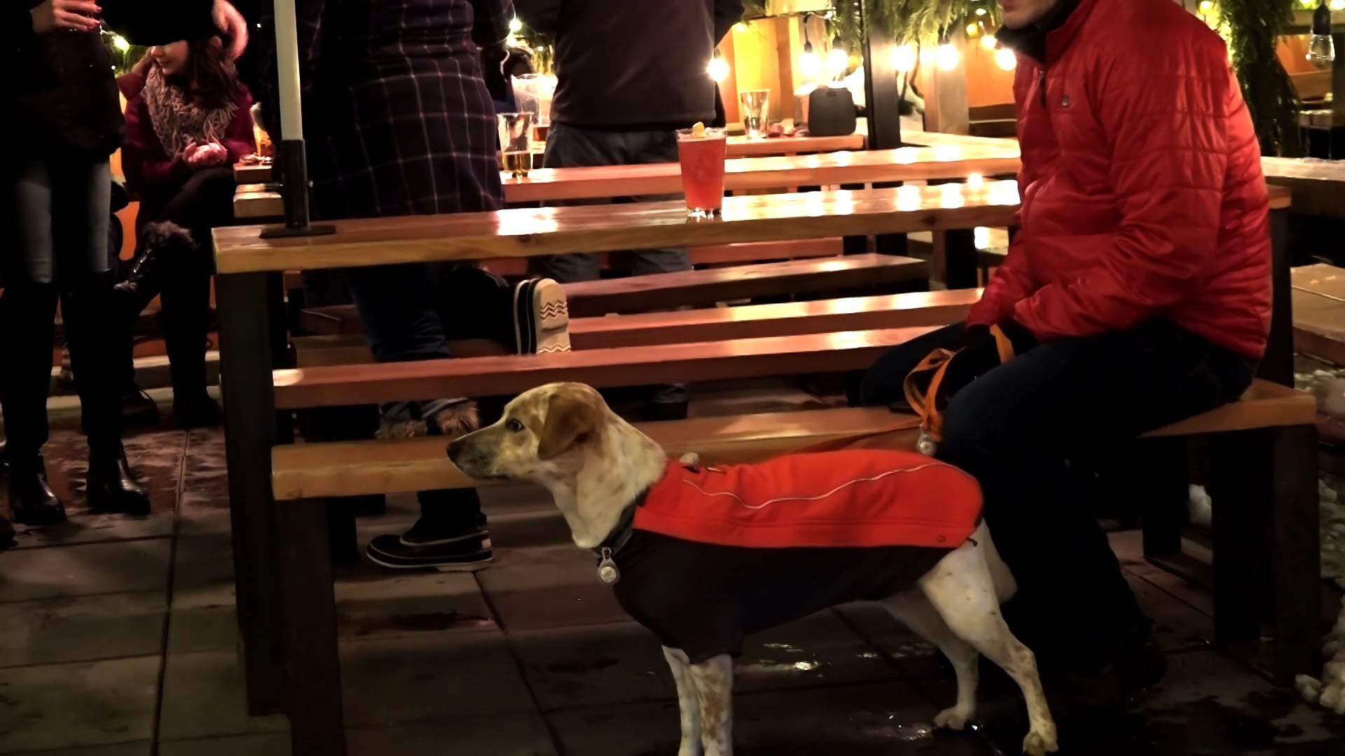 Best Friends and Beer TRAILER 07 2019