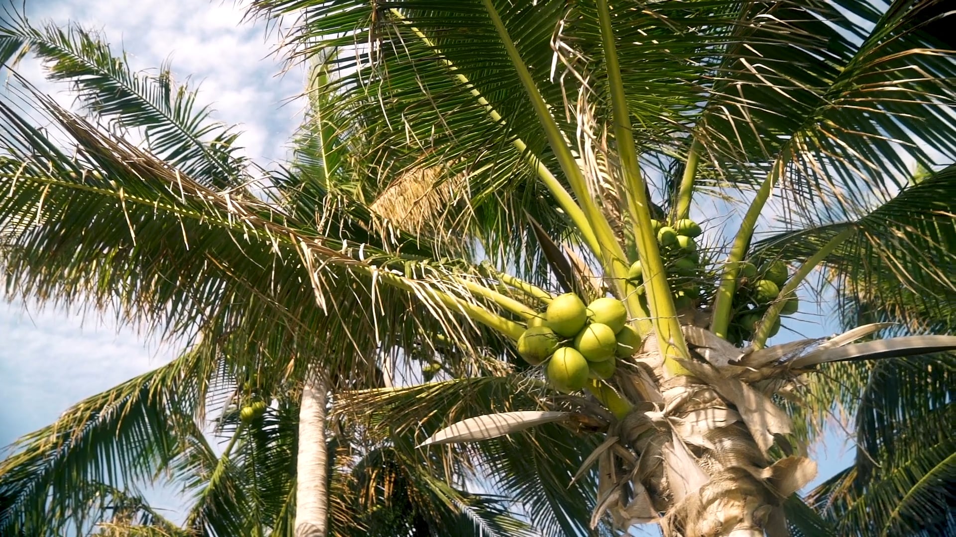 Dzeni & Igor | Instagram Highlight | From Chicago to the Shores of Puerto Morelos