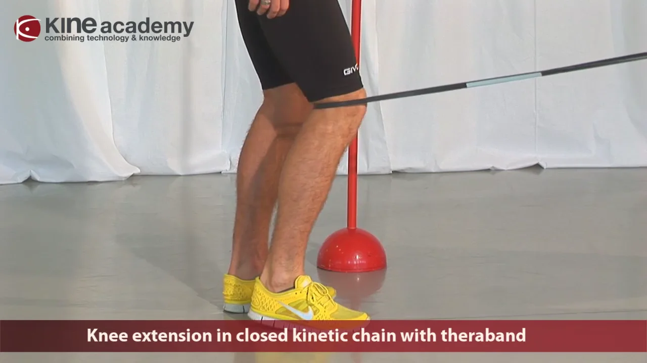 147 Knee extension in closed kinetic chain with theraband