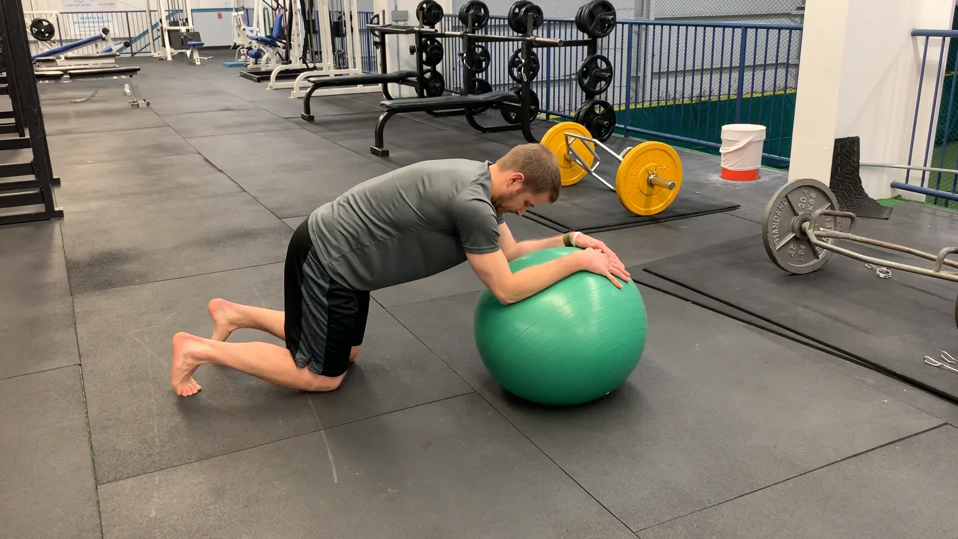 Stability Ball Plank on Vimeo