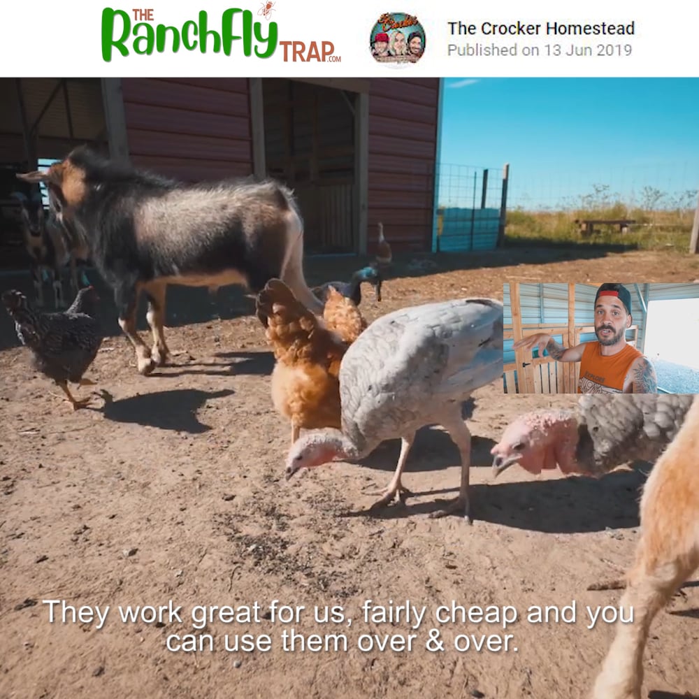 CROCKER HOMESTEAD video on Vimeo