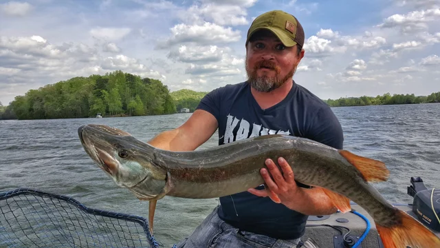 Muskie - Trolling Topwater Lures with Cory Allen