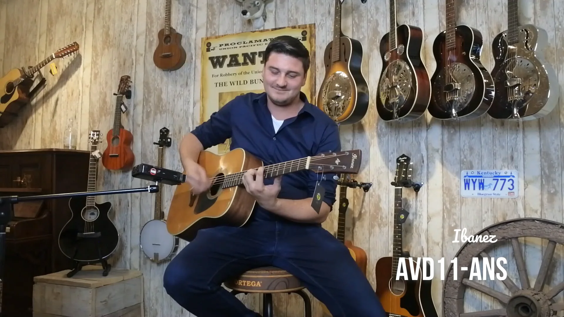 Ibanez avd11 deals
