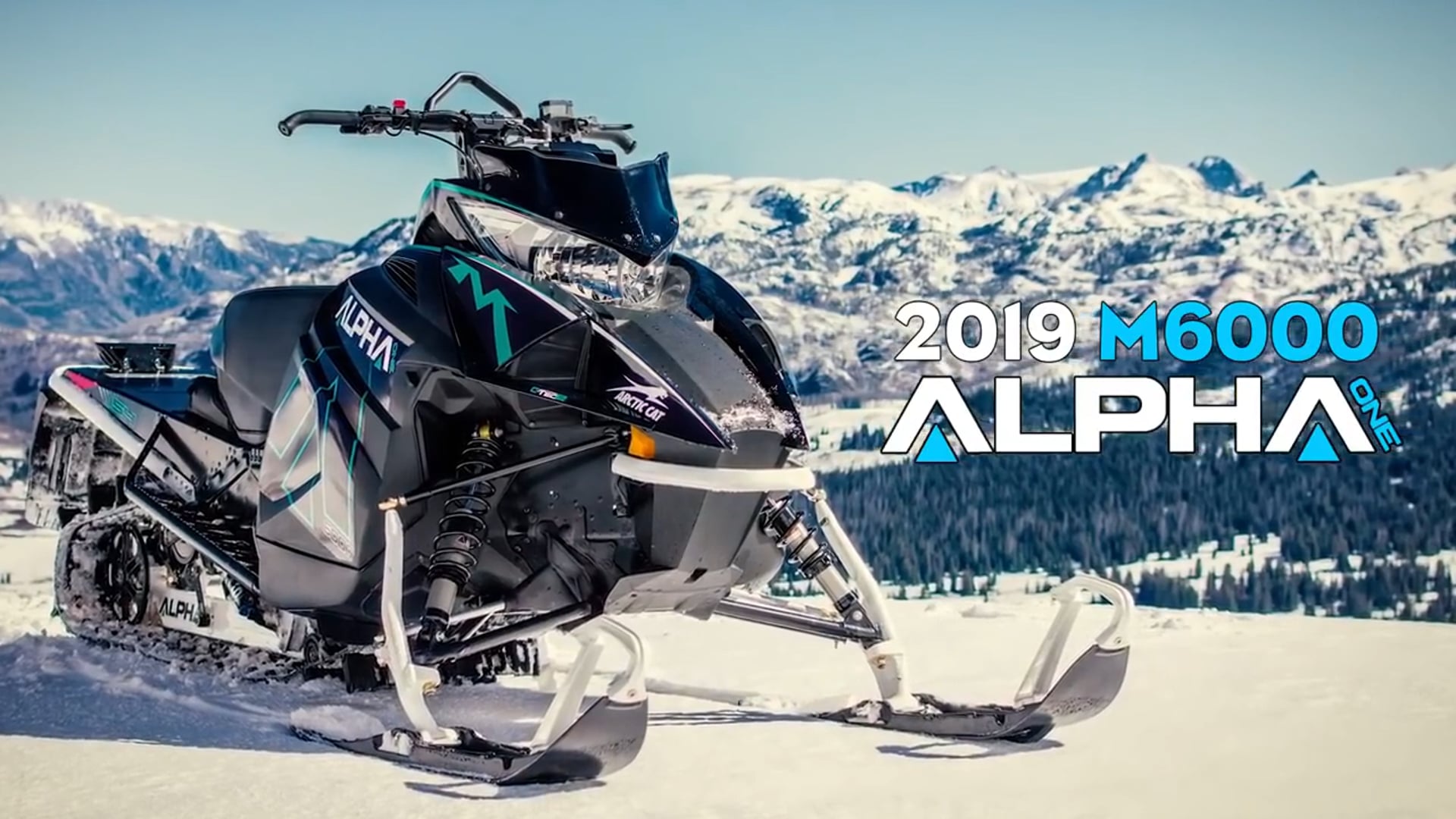 Country Cat - Arctic Cat 2019 M 6000 Mountain Cat Alpha One