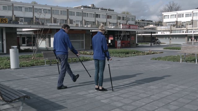 Basisübungen - Übung 62a: Gangschule - 3 Punktegang, Kreuzgang, Wenden Und Seitwärts Gehen. On Vimeo