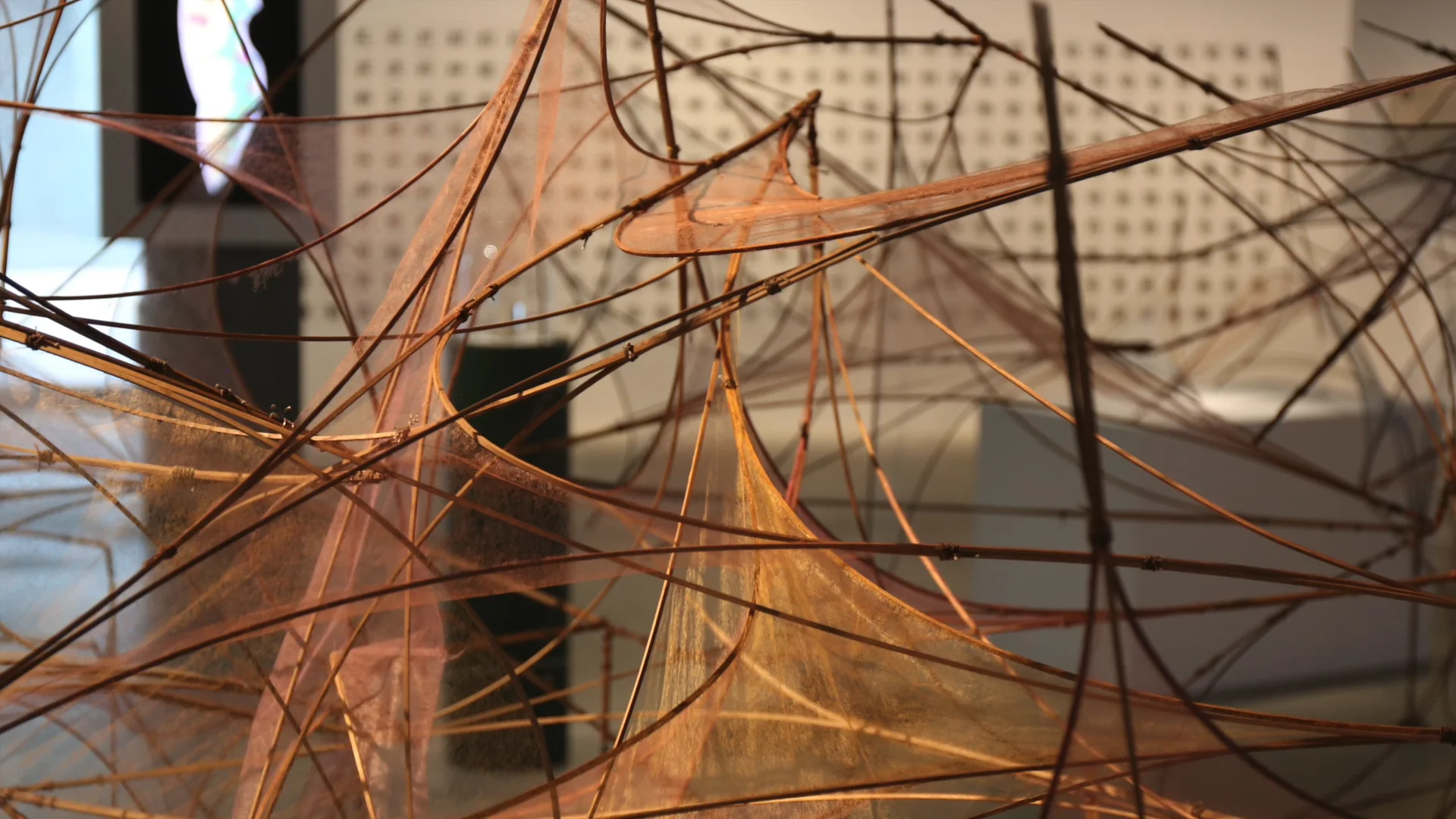 insects models for design at tokyo's 21_12 design sight