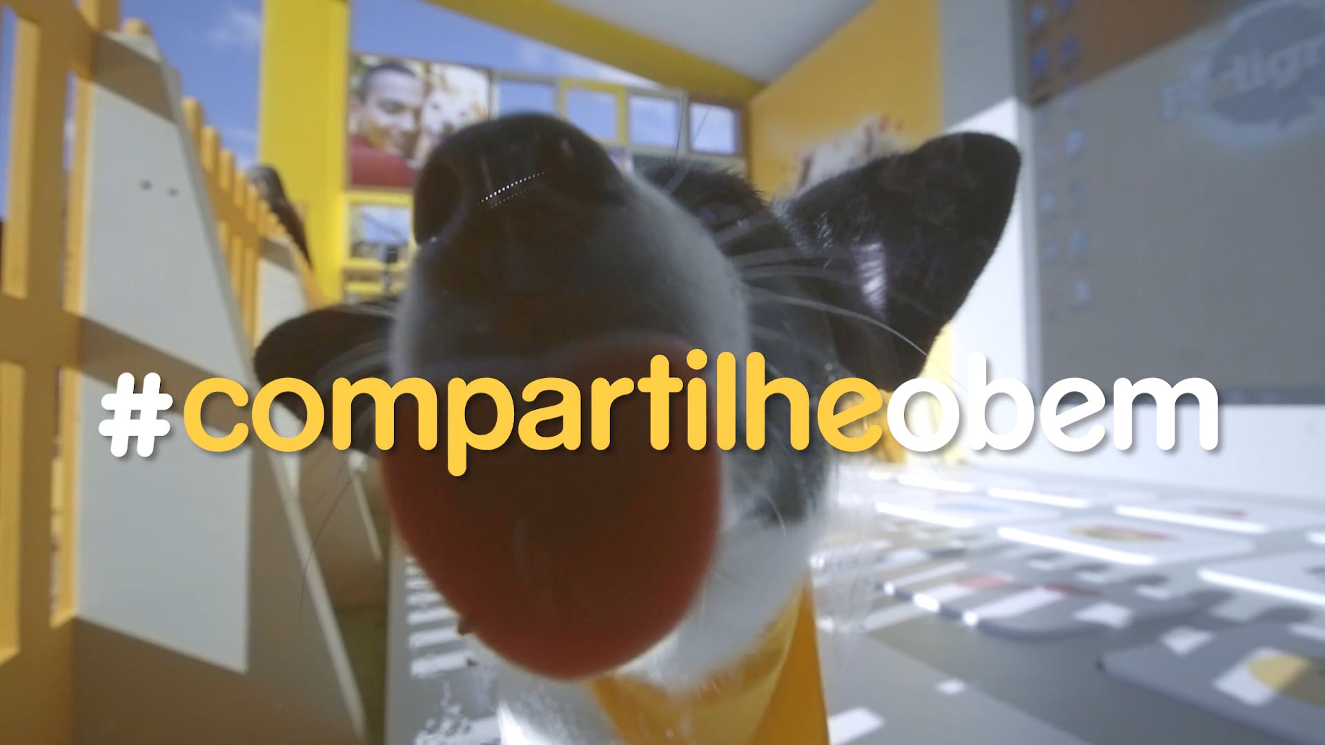 PEDIGREE | HERO DOGS BOT