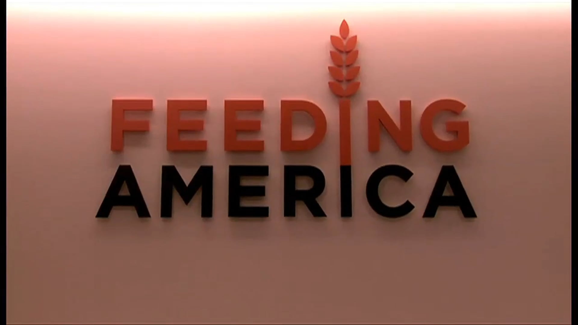 Feeding America with Ali Larter