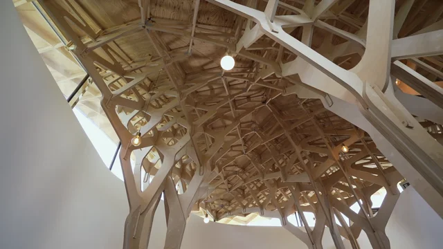 Tree Structure Architecture