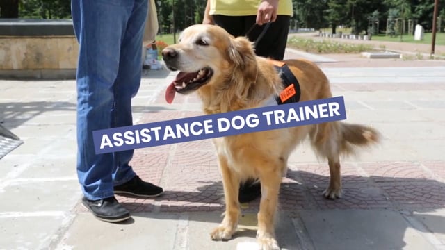 Assistance dog trainer video 3