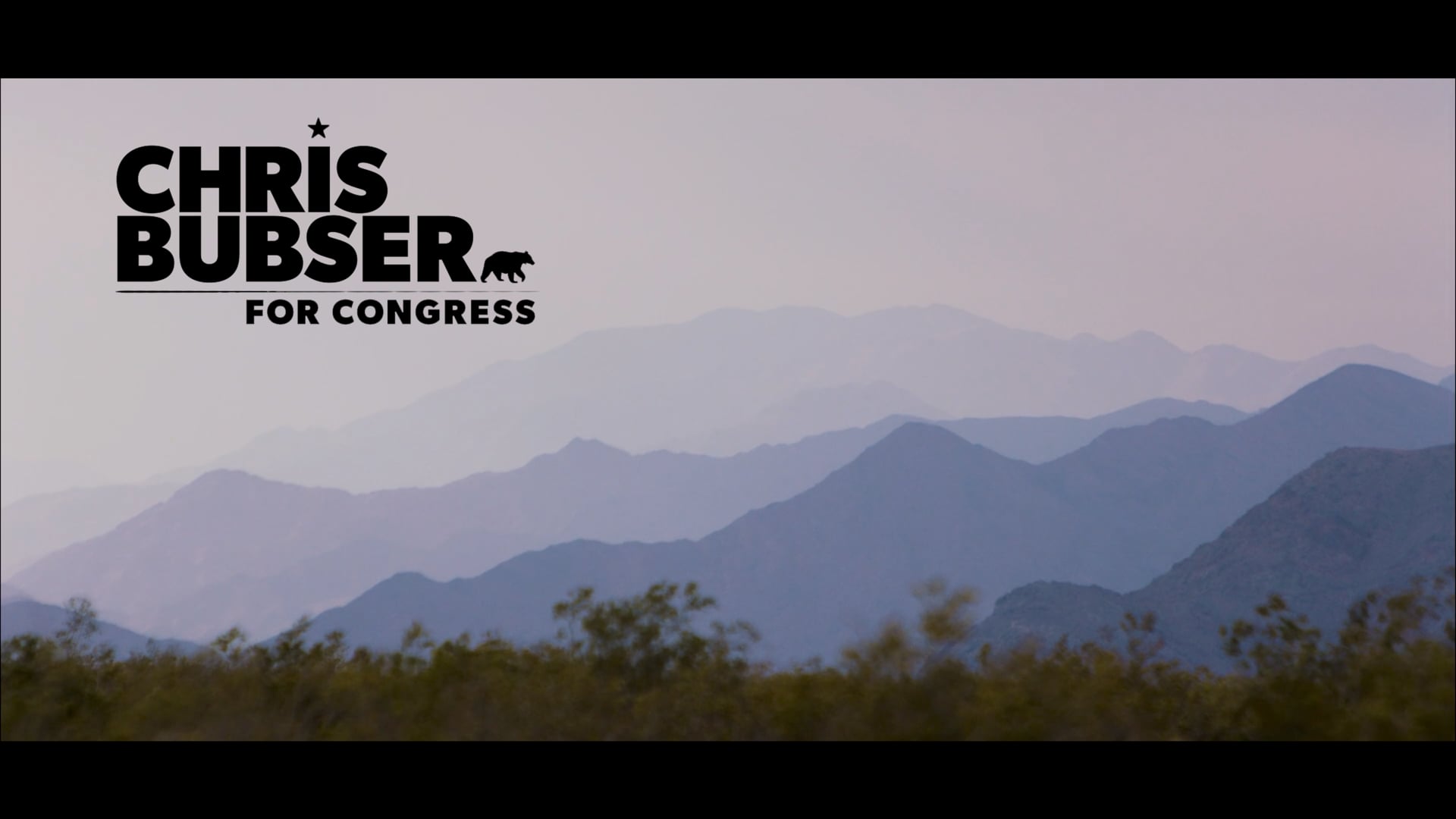 Chris Bubser For Congress: Threats