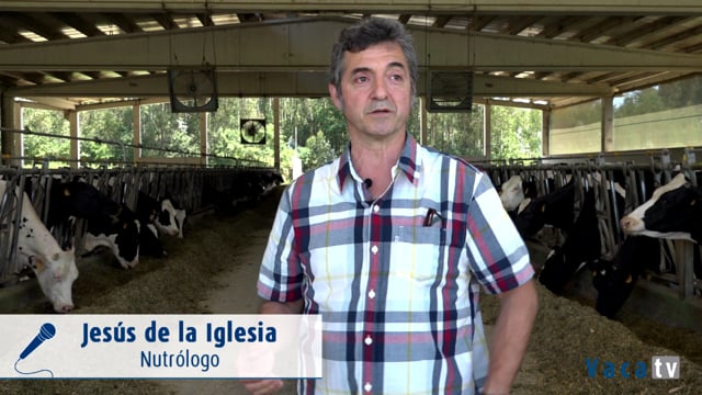 Ferramentas para favorecer o éxito nunha explotación