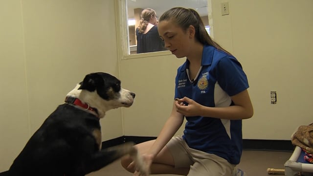 Humane Society SAE