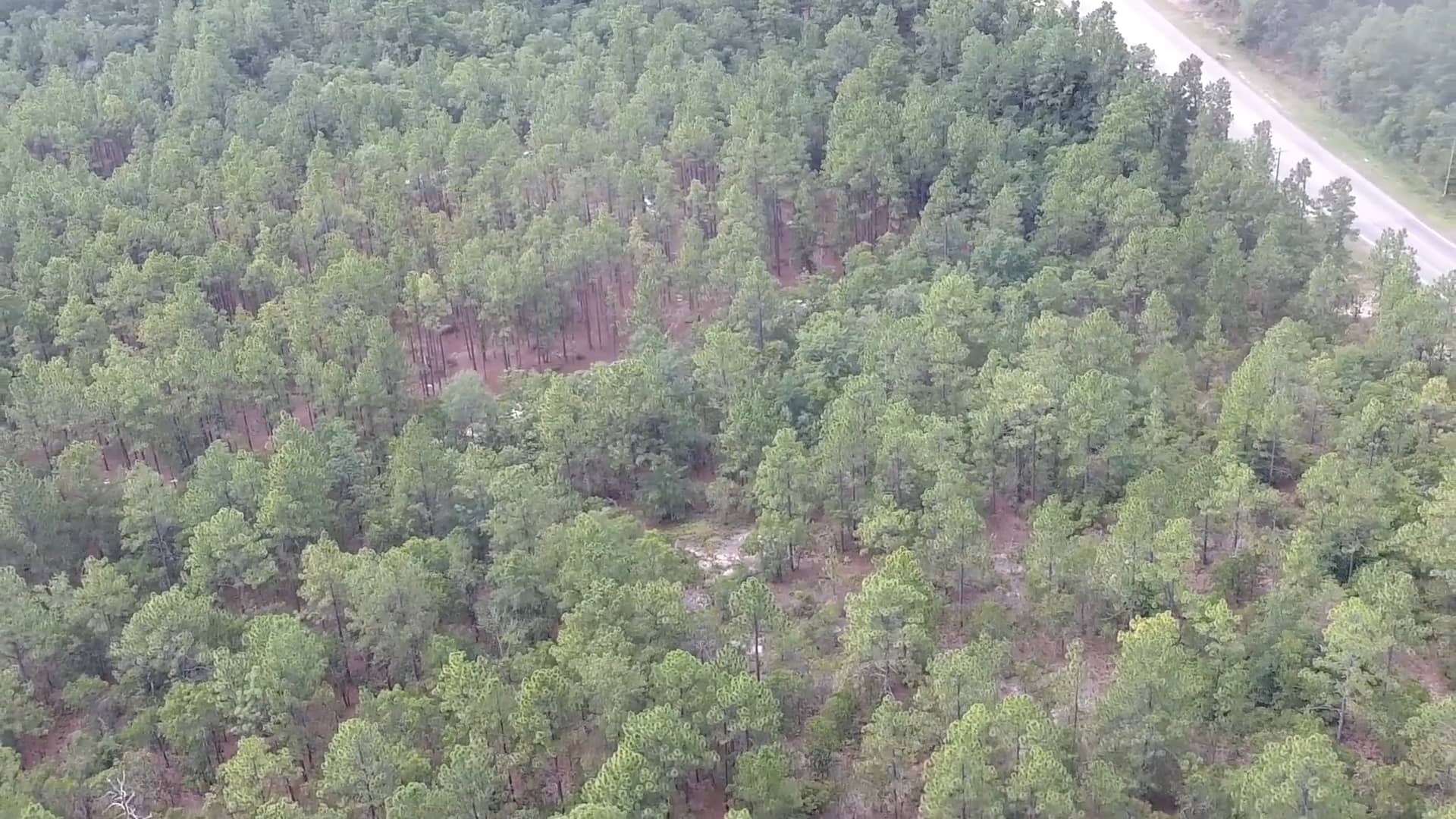 Old Orangeburg Rd & Platt Springs Rd on Vimeo