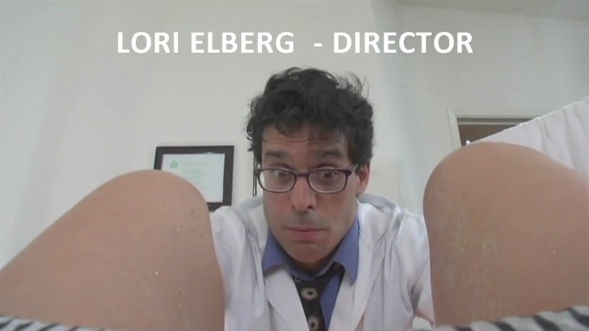 Lori Elberg Demo 19