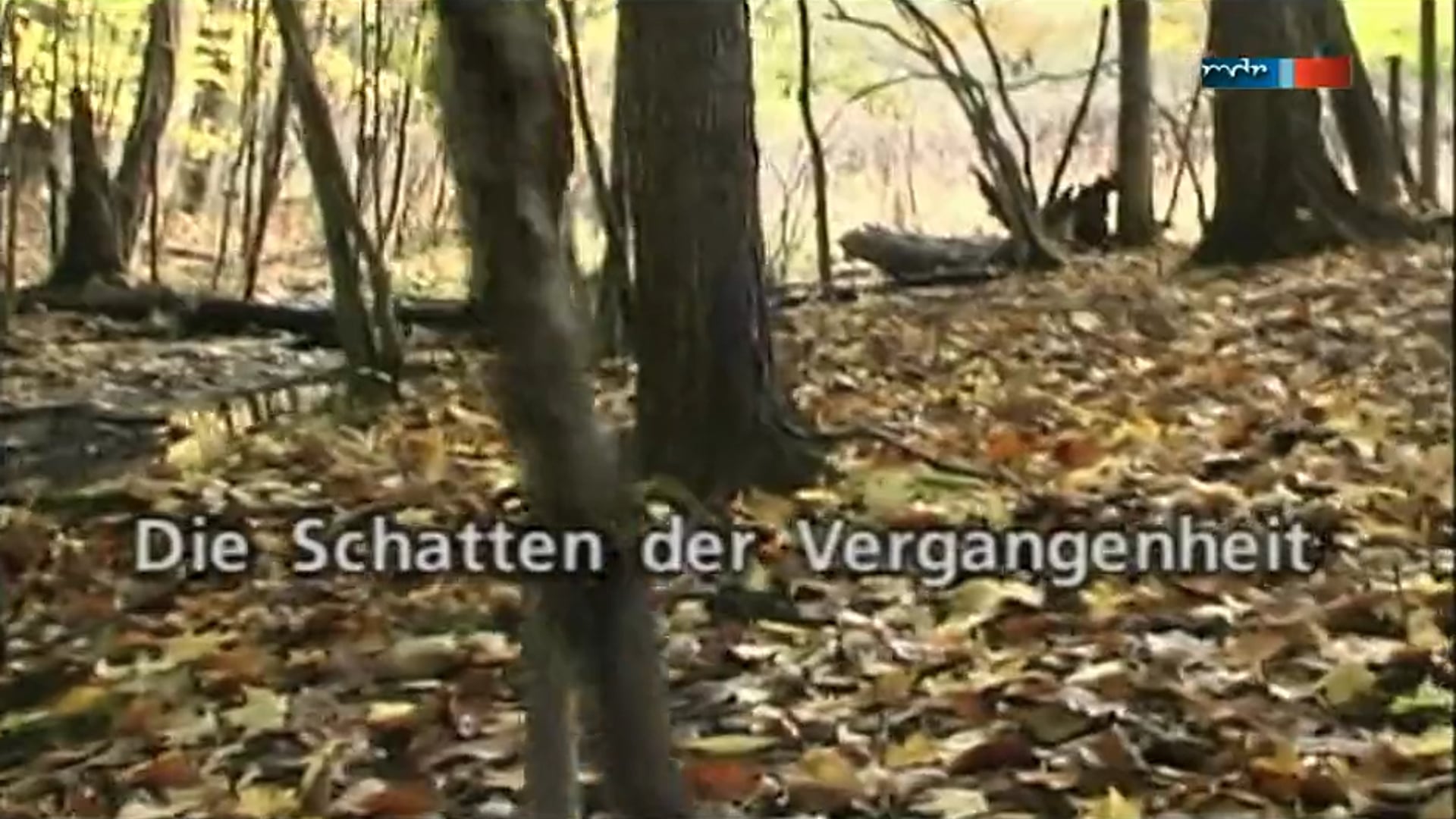 Shadows of the Lynching Tree - German Folgen