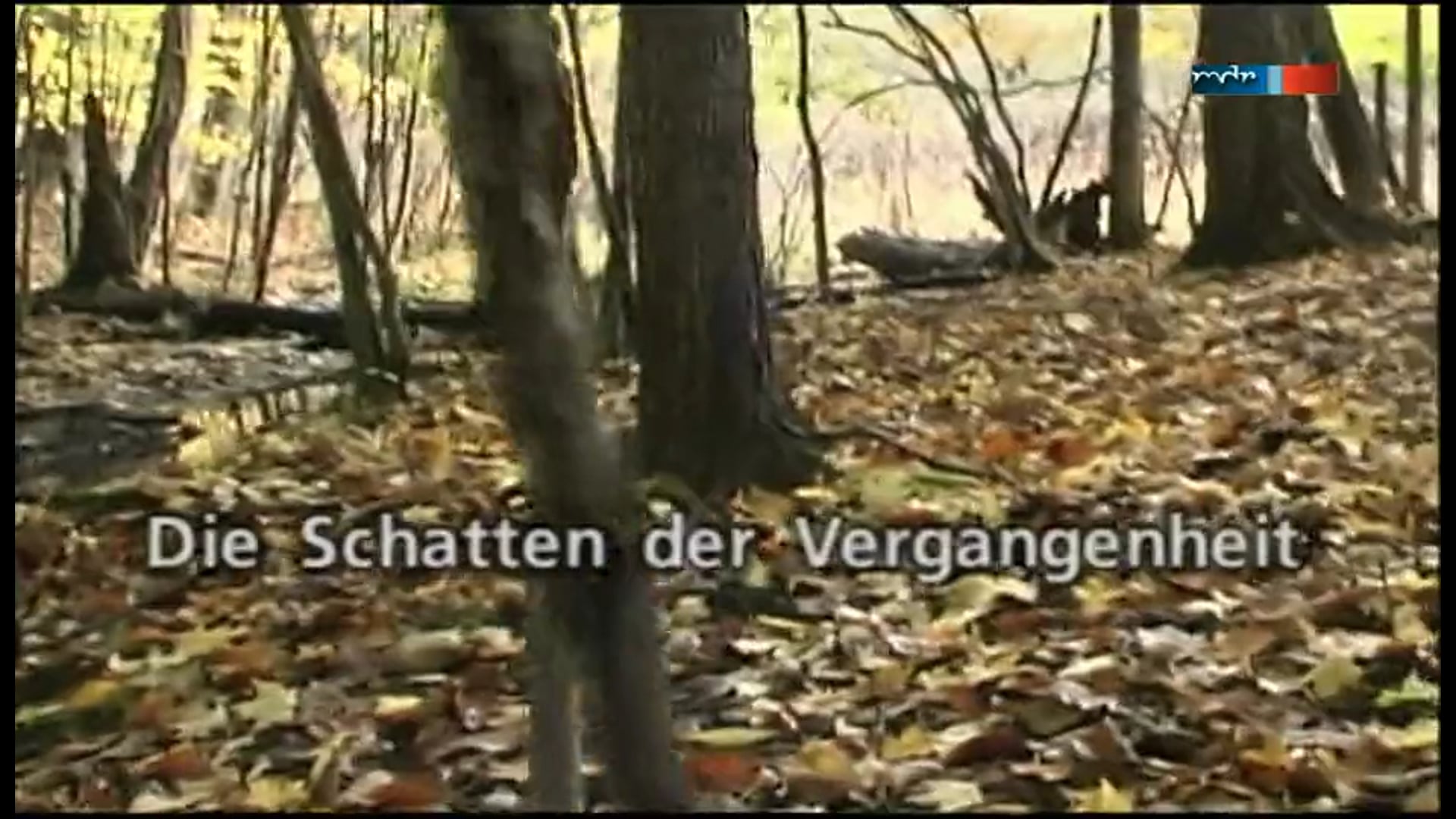 Shadows of the Lynching Tree - German Folgen
