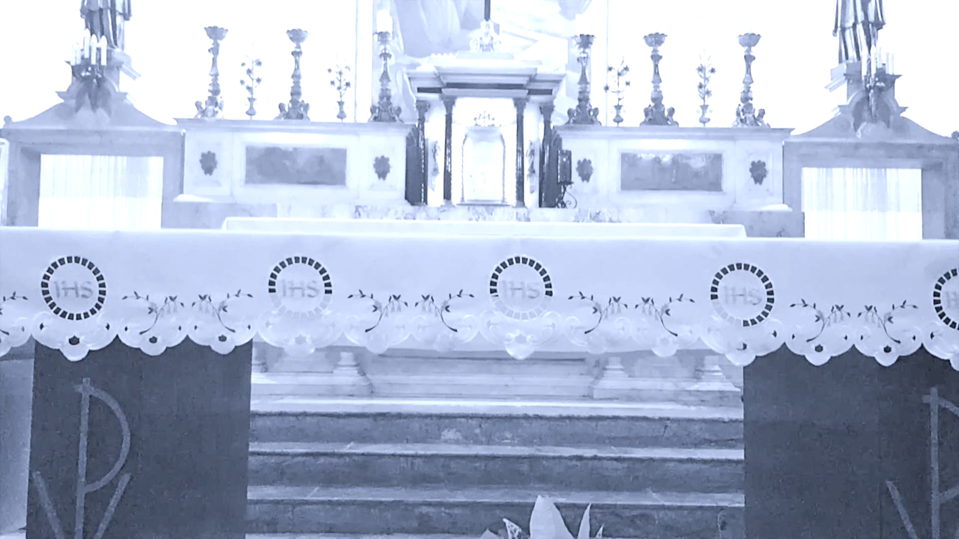 Organ