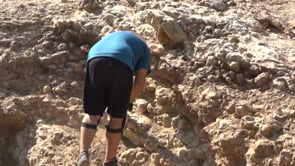 Balanç del Curs d'arqueologia d'Empúries de 2019