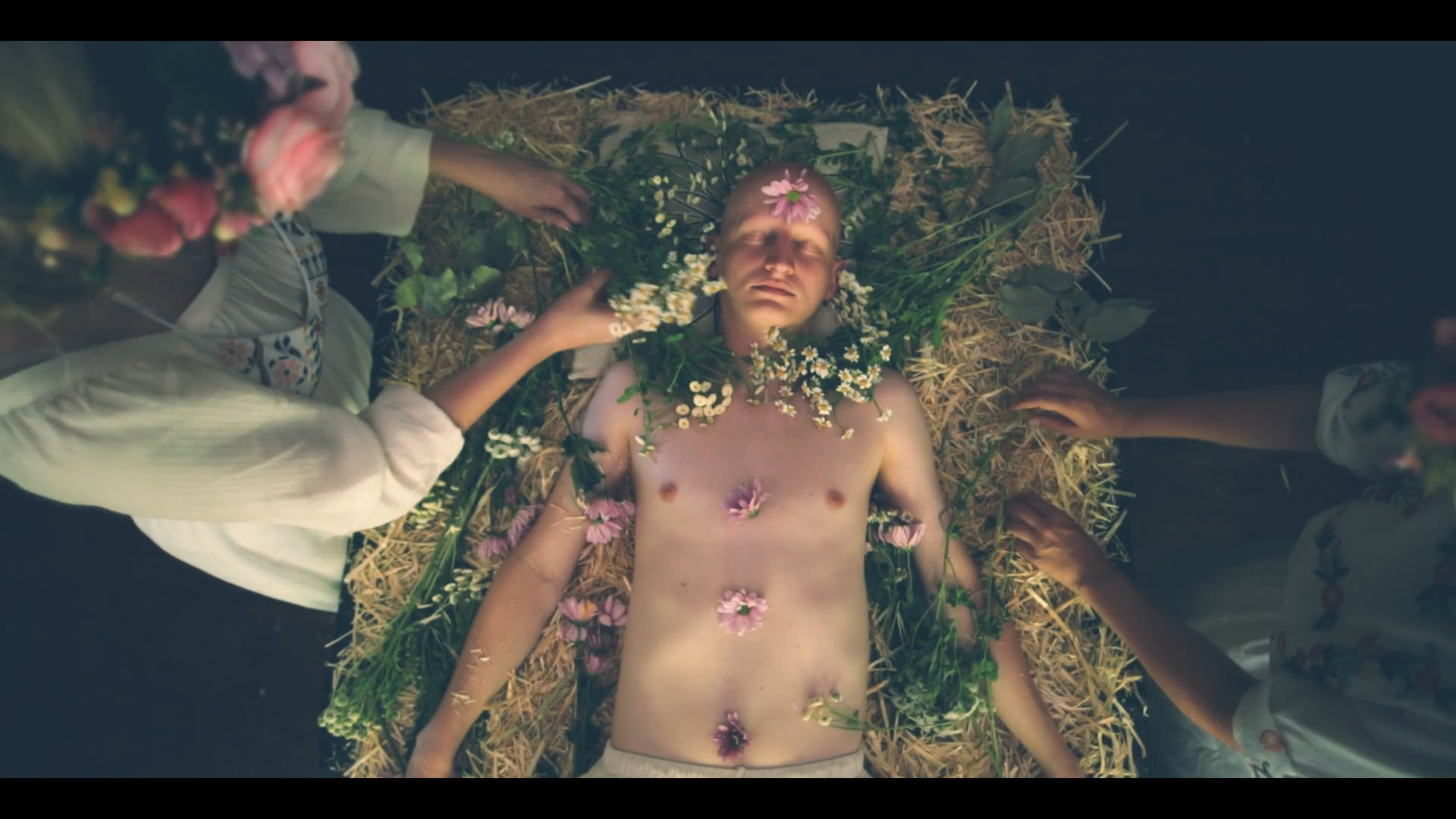 What Really Happens at Midsommar