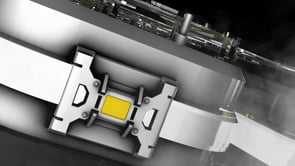 2019 State Fair Edition Reveal