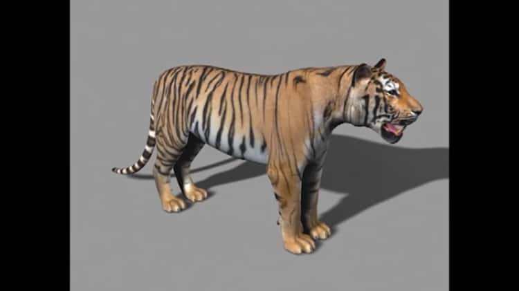 Free 3D Tiger Models