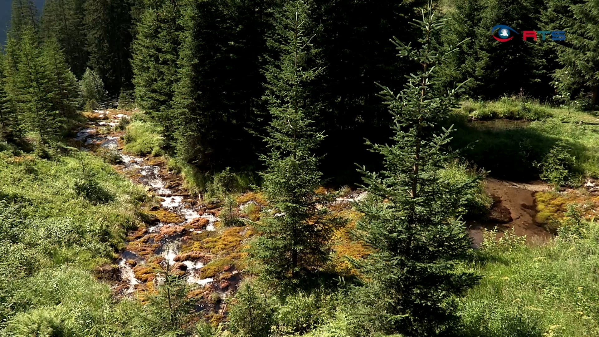 naturerlebniscamp-der-oenj-begegnet-der-naturentfremdung-von-kindern