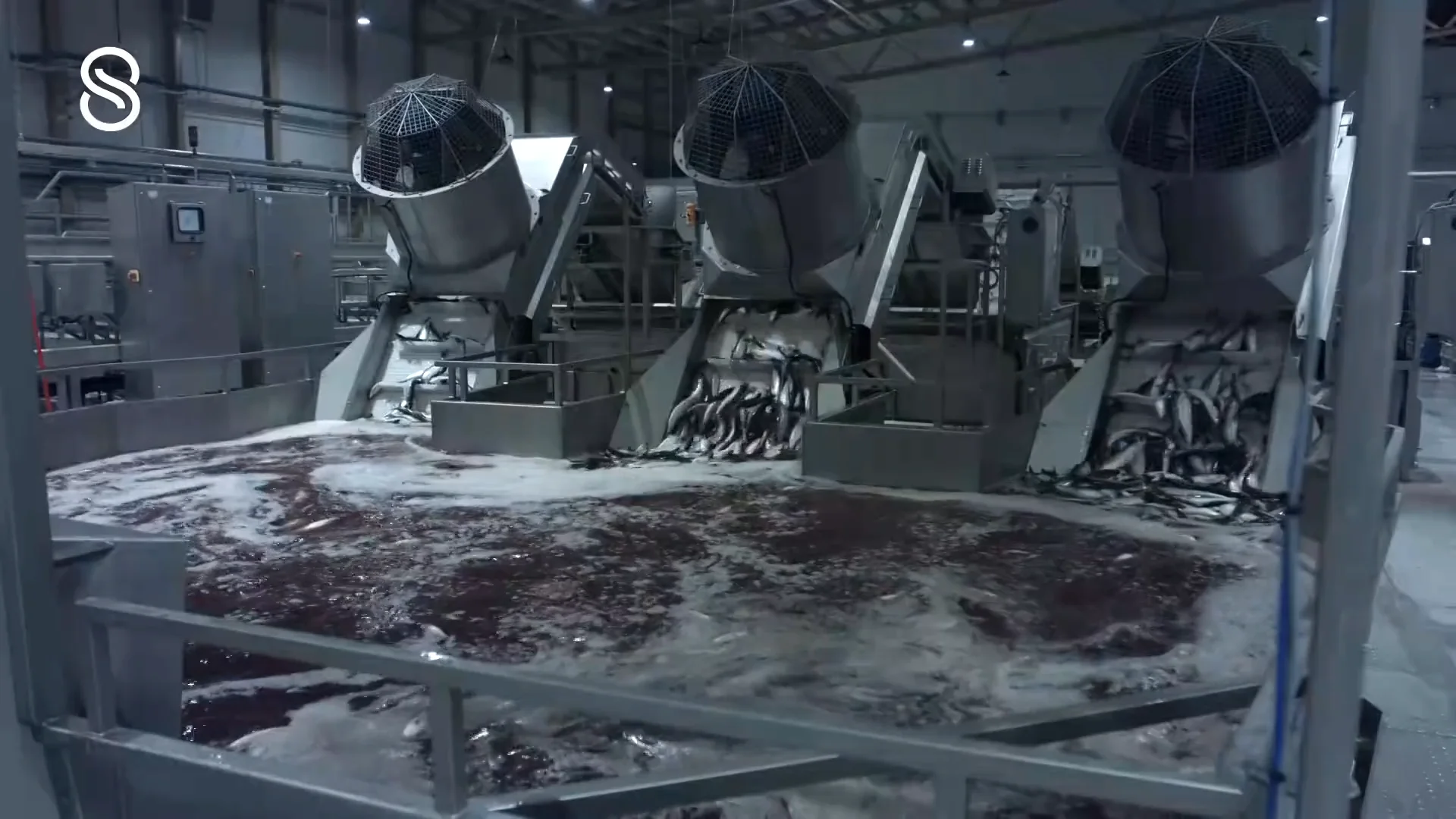 Eskja - Complete automatic pelagic processing plant (Full Video