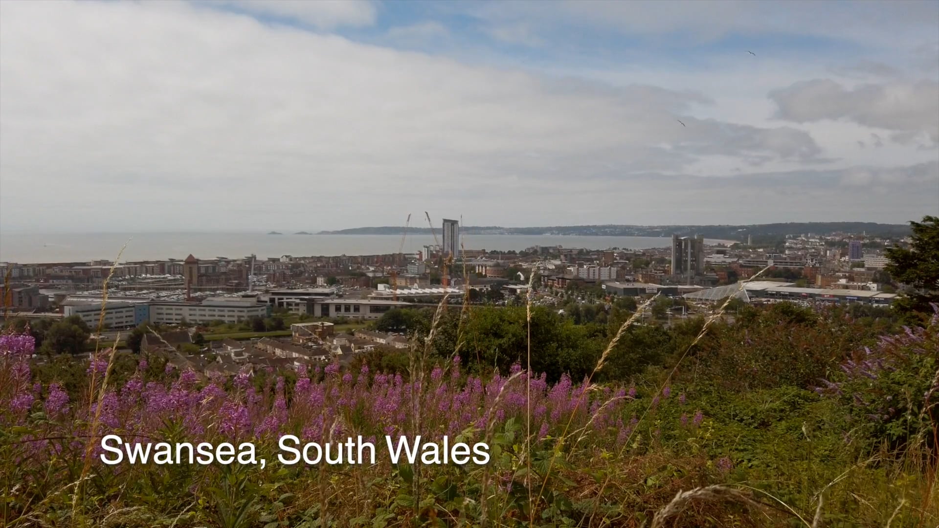 ELI PROJECT_WALES
